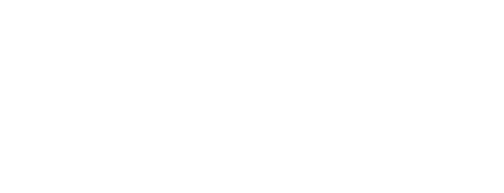 Logo PARCELLIZ - Blanc